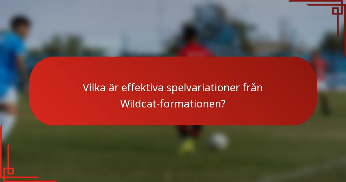 Vilka är effektiva spelvariationer från Wildcat-formationen?