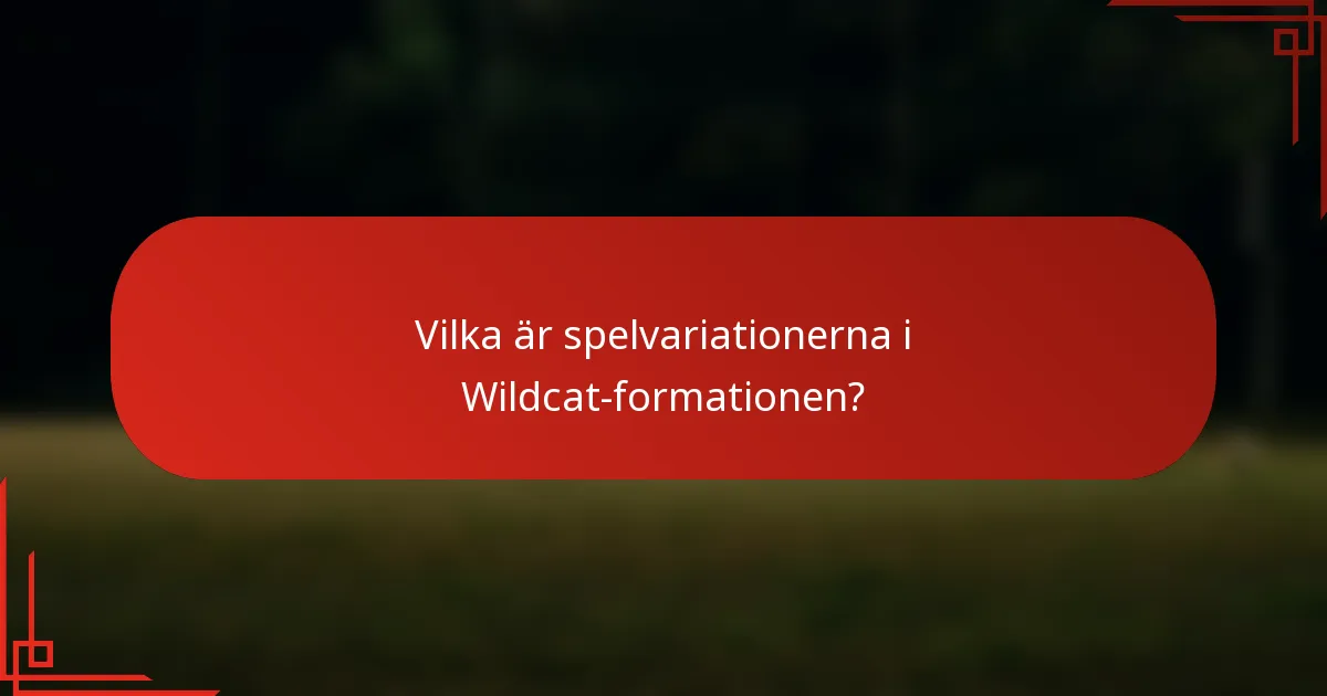 Vilka är spelvariationerna i Wildcat-formationen?